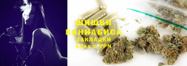 молекула духа Щигры