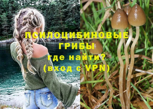 ALPHA PVP Горняк
